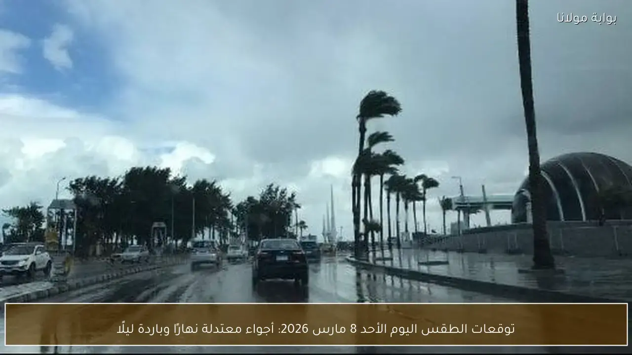 أجواء معتدلة نهارًا وباردة ليلاً في توقعات طقس الأحد 8 مارس 2026